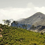 Krajina pod Pico de Areeiro