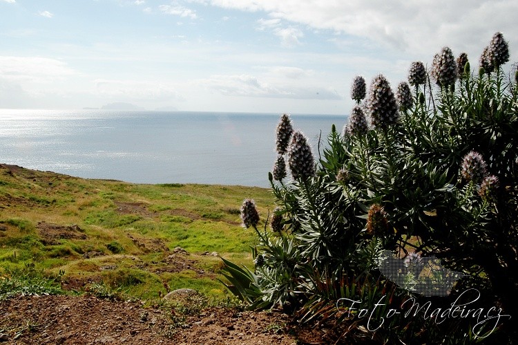 Fotografie Madeiry