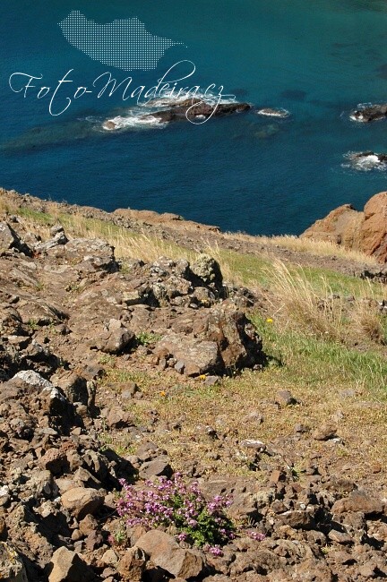Fotografie Madeiry