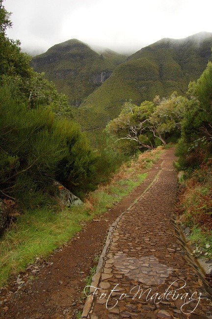 Fotografie Madeiry