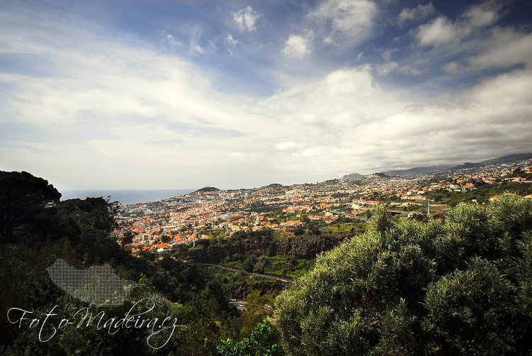 Fotografie Madeiry