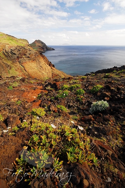 Fotografie Madeiry