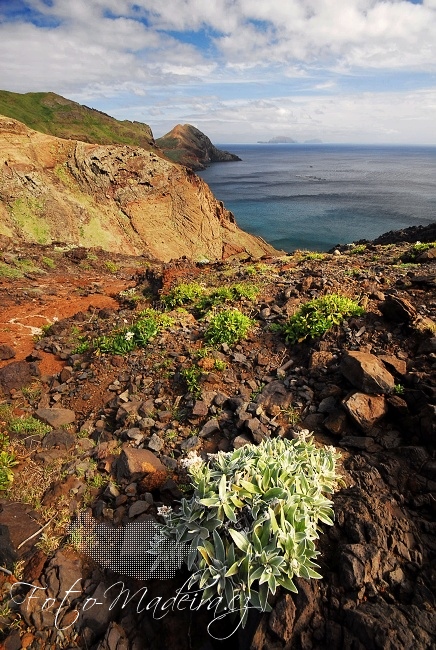 Fotografie Madeiry